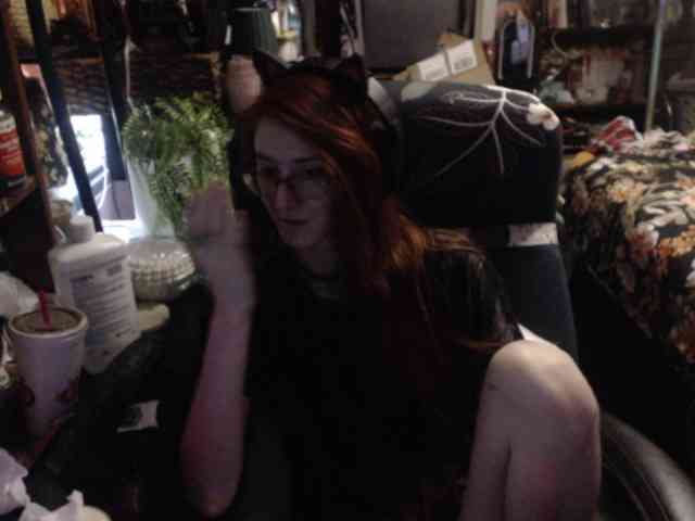 pussyxpaladin webcam