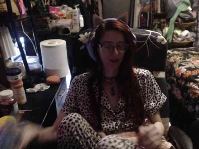 pussyxpaladin webcam