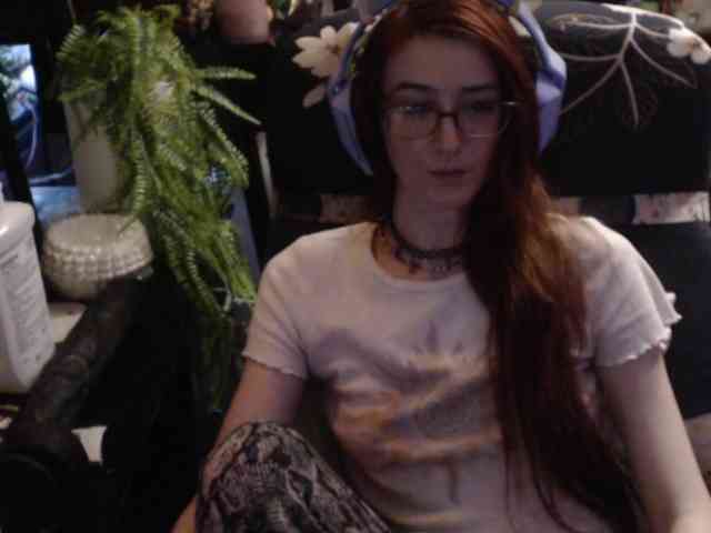 pussyxpaladin webcam