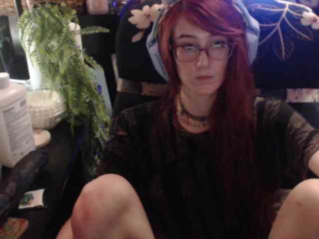 pussyxpaladin webcam