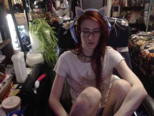 pussyxpaladin webcam
