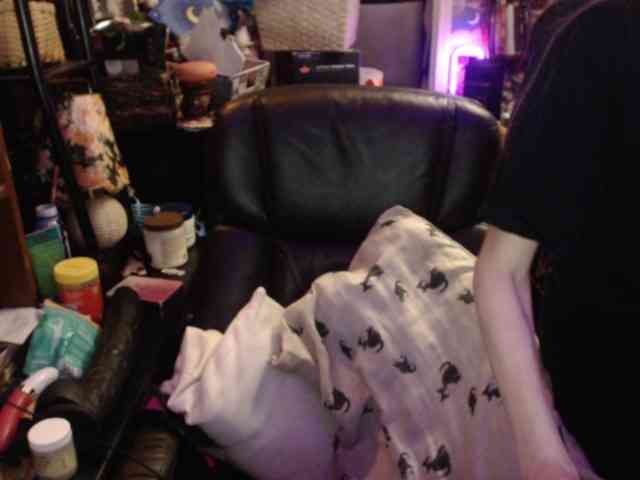 pussyxpaladin Live Webcam on BongaCams