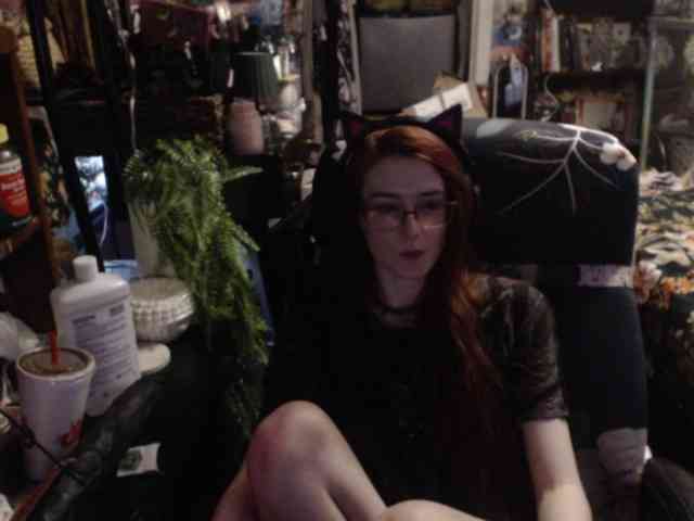 pussyxpaladin webcam
