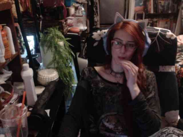pussyxpaladin webcam