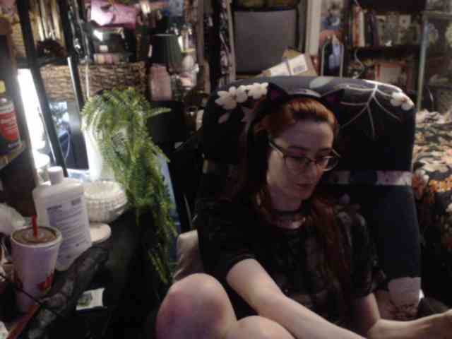 pussyxpaladin webcam