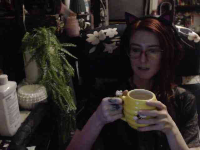 pussyxpaladin webcam