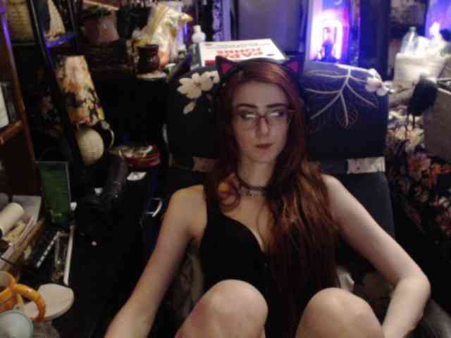 pussyxpaladin