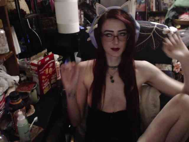 pussyxpaladin webcam
