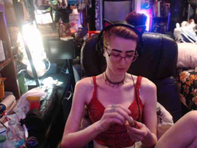 pussyxpaladin