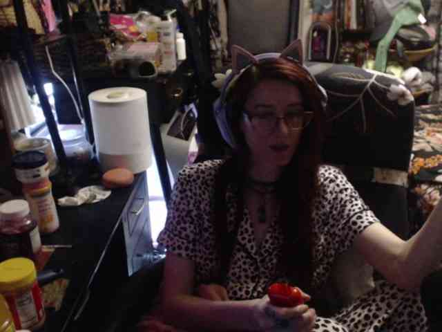 pussyxpaladin webcam