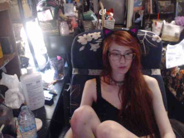 pussyxpaladin