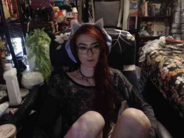pussyxpaladin