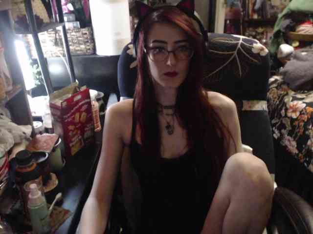 pussyxpaladin