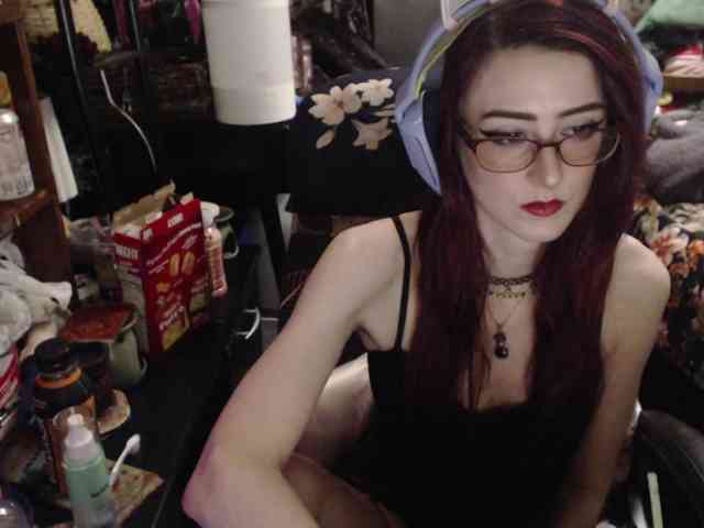 pussyxpaladin