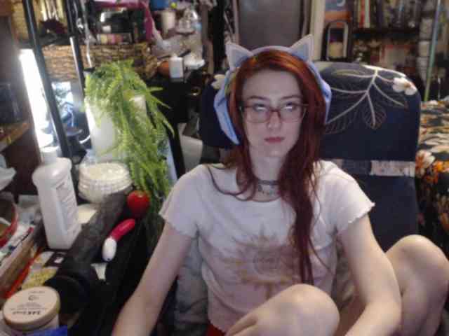 pussyxpaladin webcam