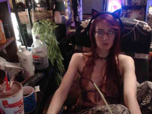 pussyxpaladin webcam