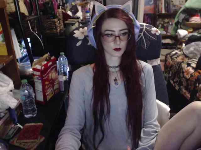 pussyxpaladin webcam