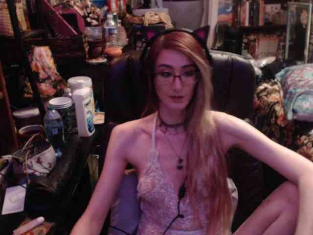 pussyxpaladin webcam