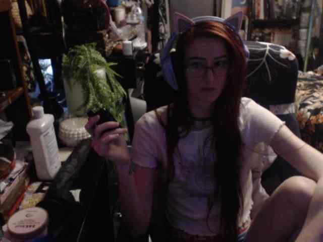 pussyxpaladin webcam