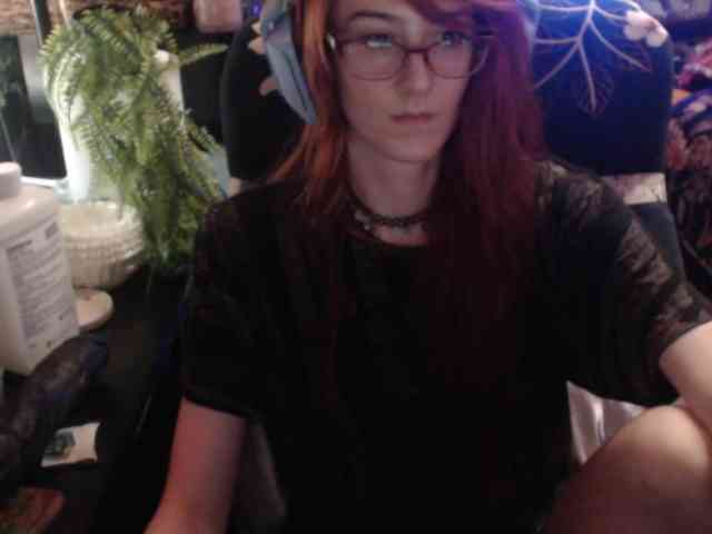 pussyxpaladin webcam