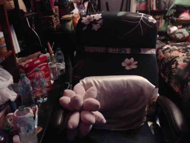 pussyxpaladin webcam