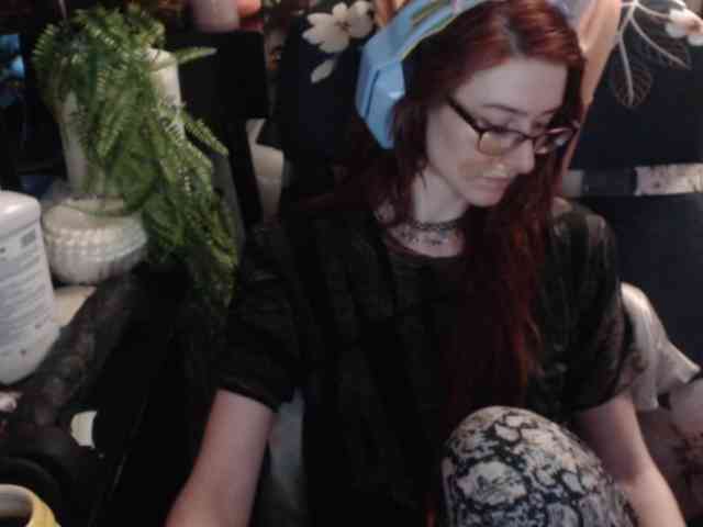 pussyxpaladin webcam