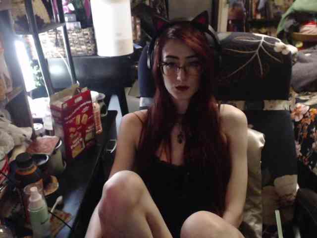 pussyxpaladin webcam