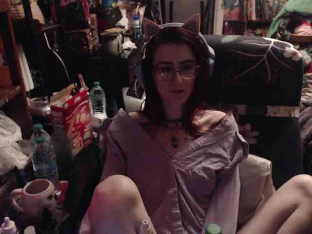 pussyxpaladin webcam