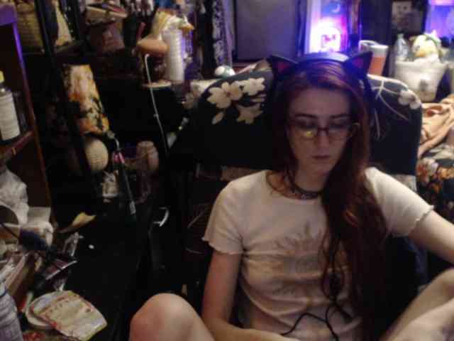 pussyxpaladin webcam