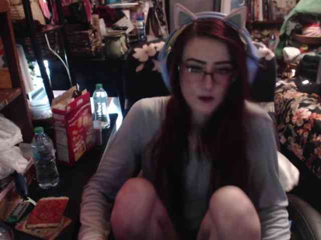 pussyxpaladin webcam