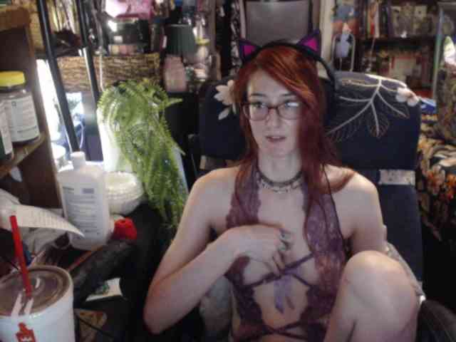 pussyxpaladin webcam
