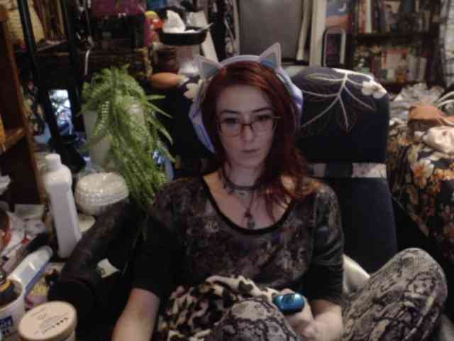 pussyxpaladin webcam