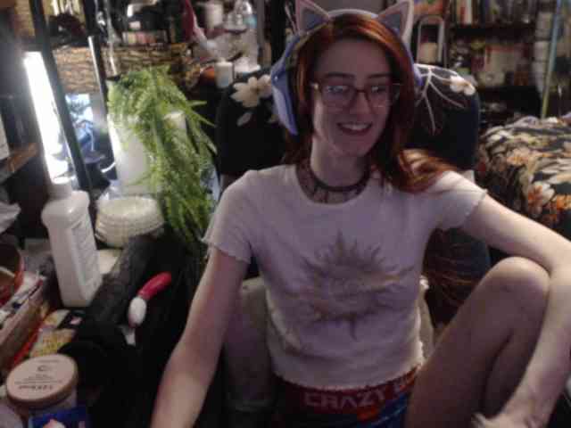 pussyxpaladin webcam