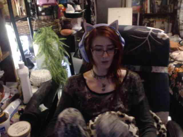 pussyxpaladin webcam