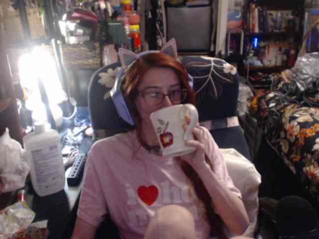 pussyxpaladin webcam