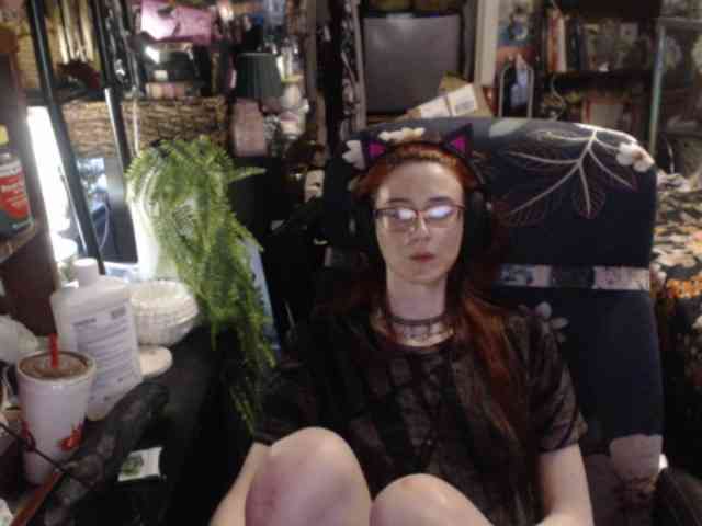 pussyxpaladin webcam