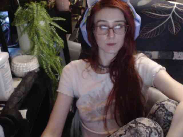 pussyxpaladin