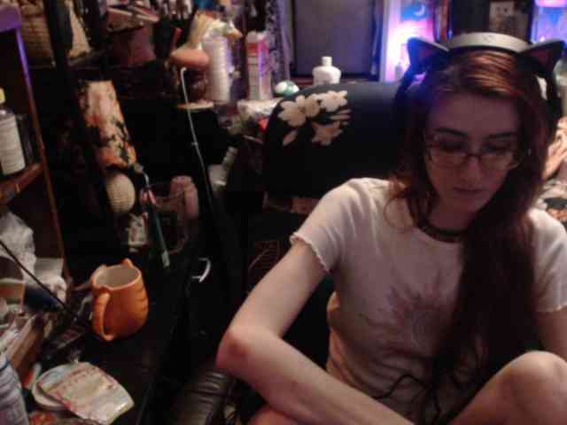 pussyxpaladin webcam