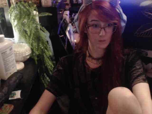 pussyxpaladin webcam