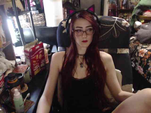 pussyxpaladin webcam