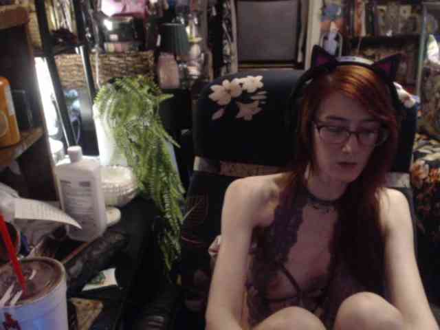 pussyxpaladin webcam