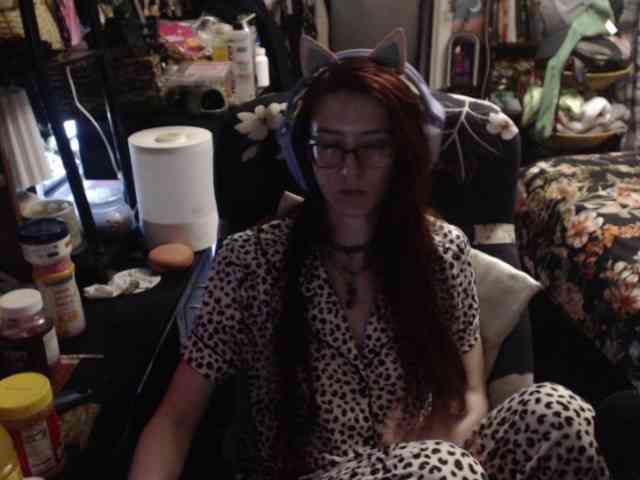 pussyxpaladin