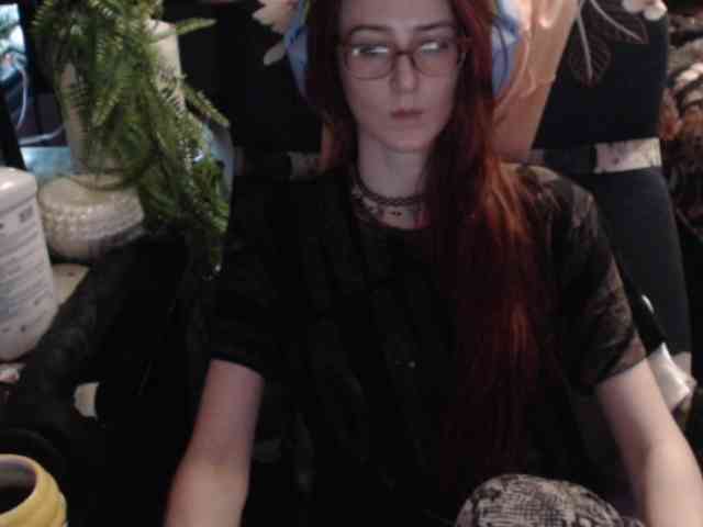 pussyxpaladin webcam