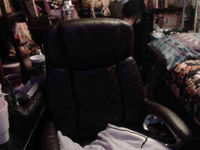 pussyxpaladin webcam