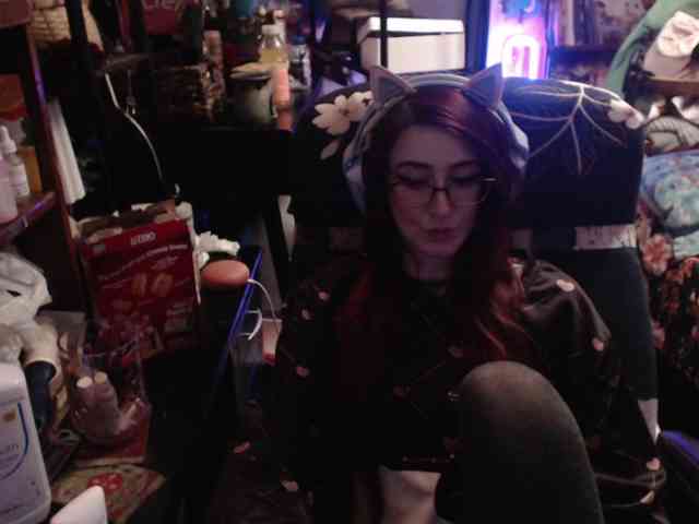 pussyxpaladin webcam