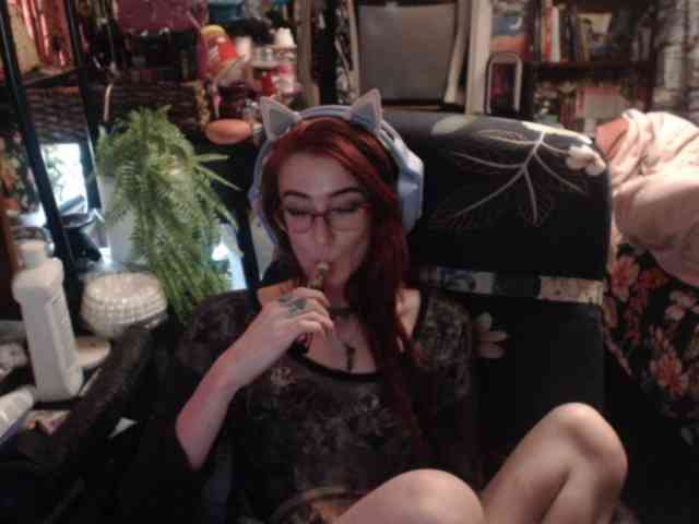 pussyxpaladin webcam