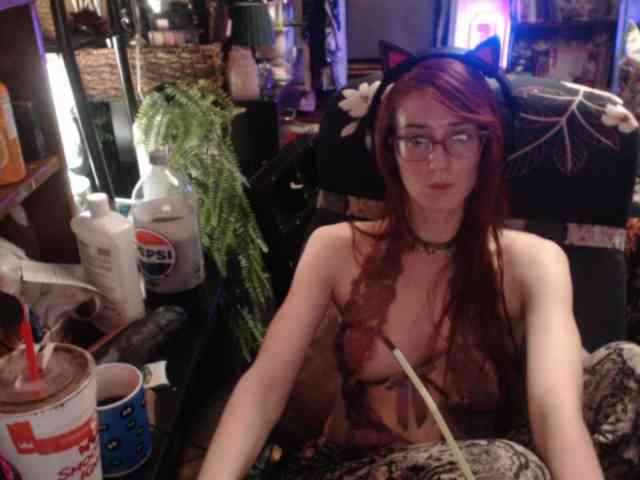 pussyxpaladin webcam