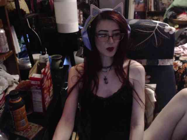 pussyxpaladin webcam