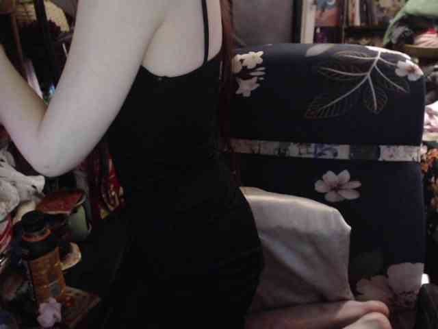 pussyxpaladin webcam