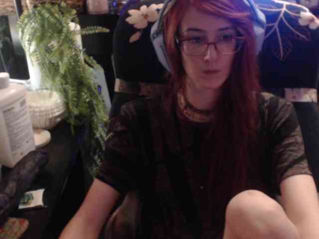 pussyxpaladin